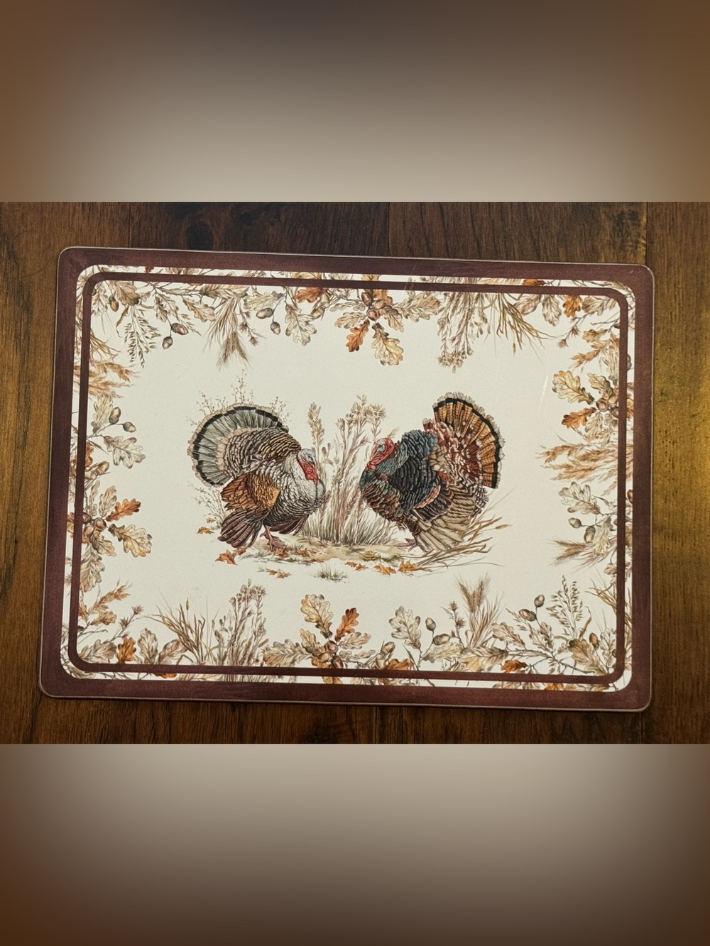Williams Sonoma Thanksgiving Turkey Decorative Cork Placemat